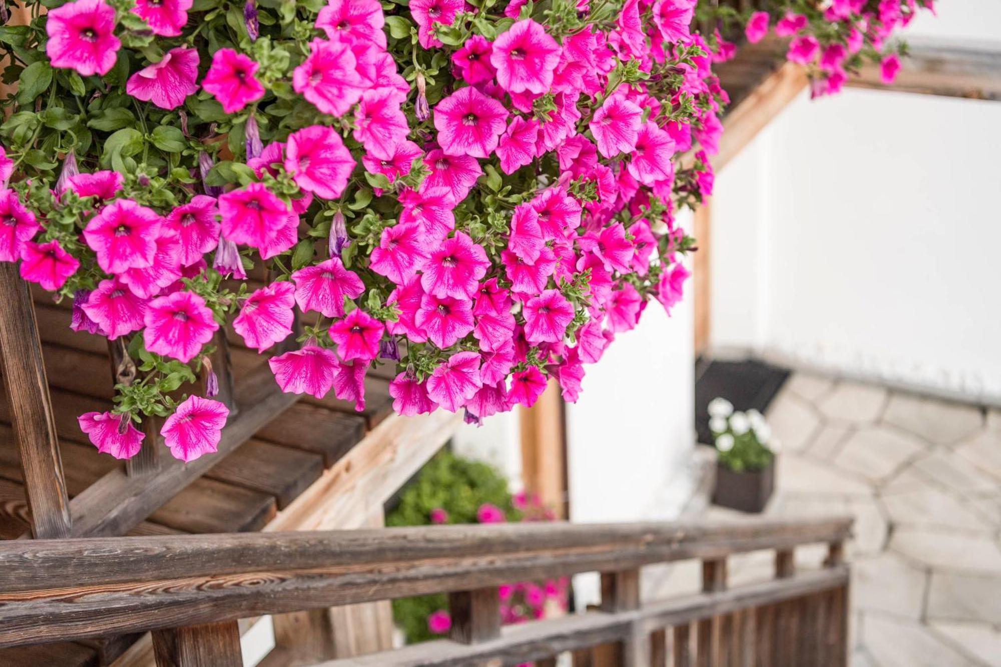 Agriturismo Maso Runch Badia  Exterior photo